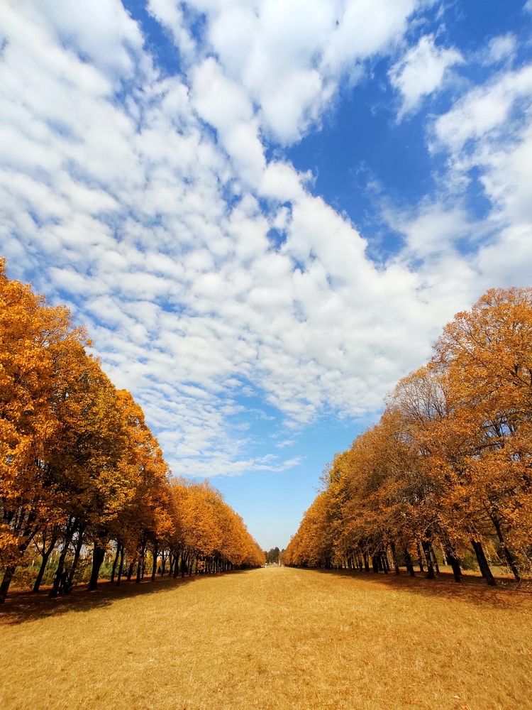 Photograph by Александра