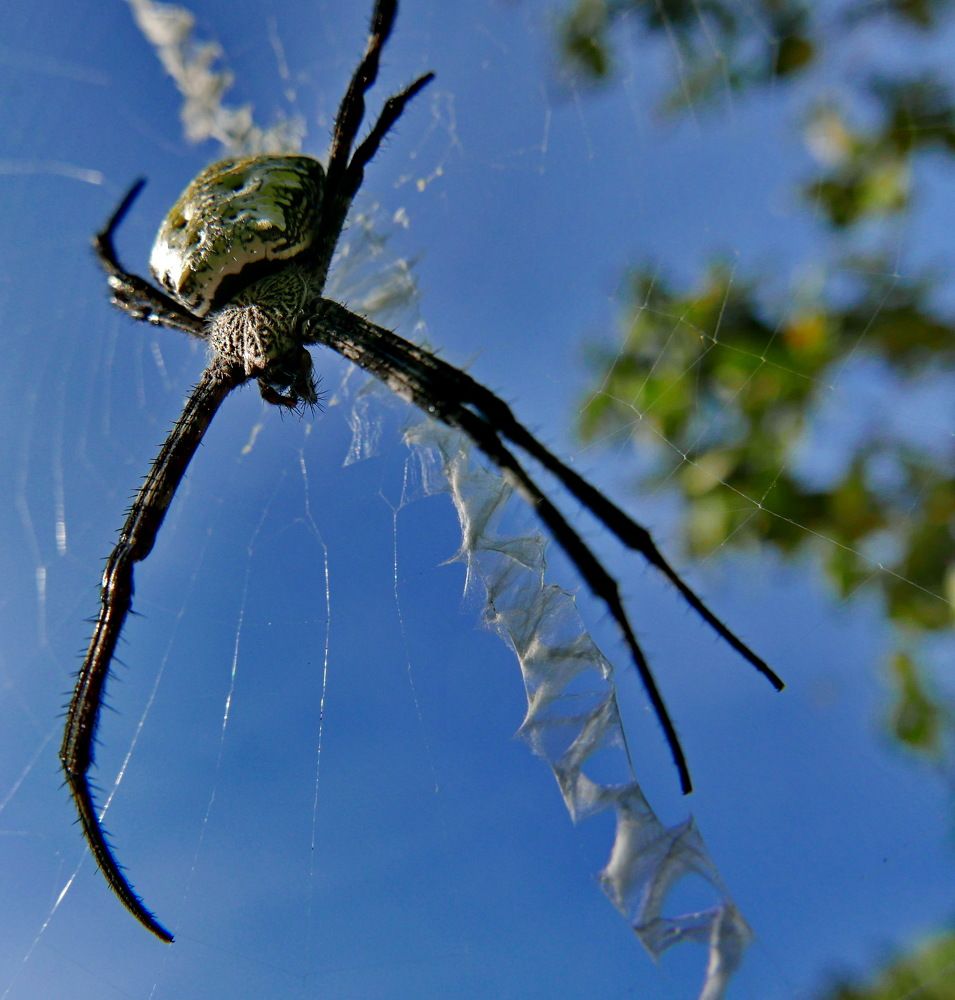 Photograph by Юрий Сычев