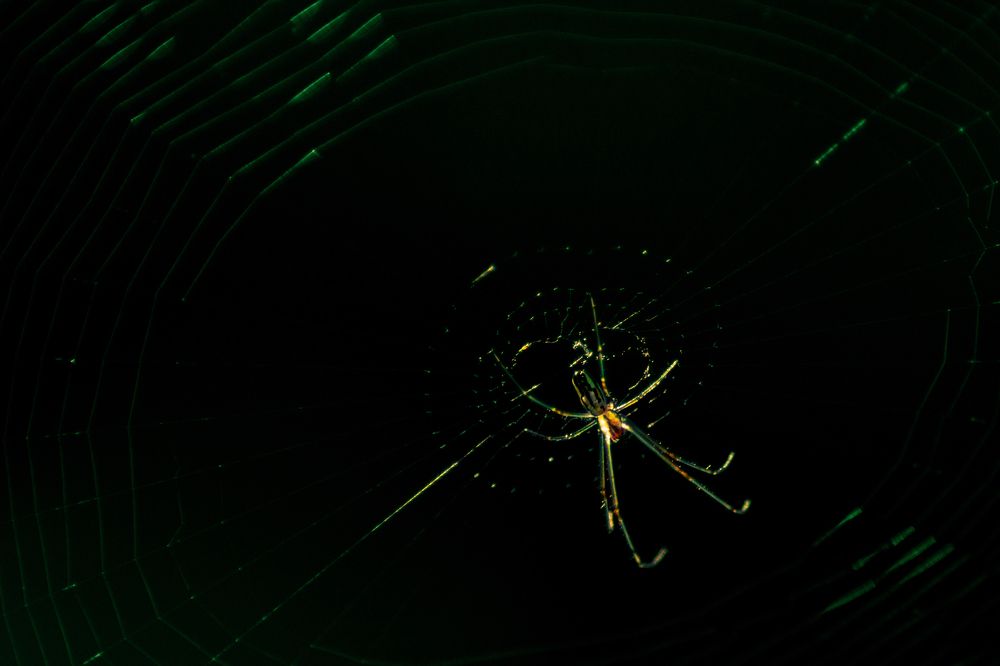 Photograph by Carlos Alberto López