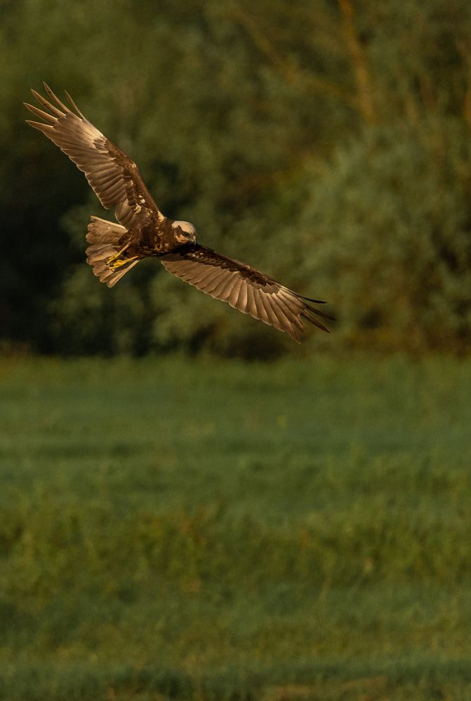 Photograph by Владимир Коновалов