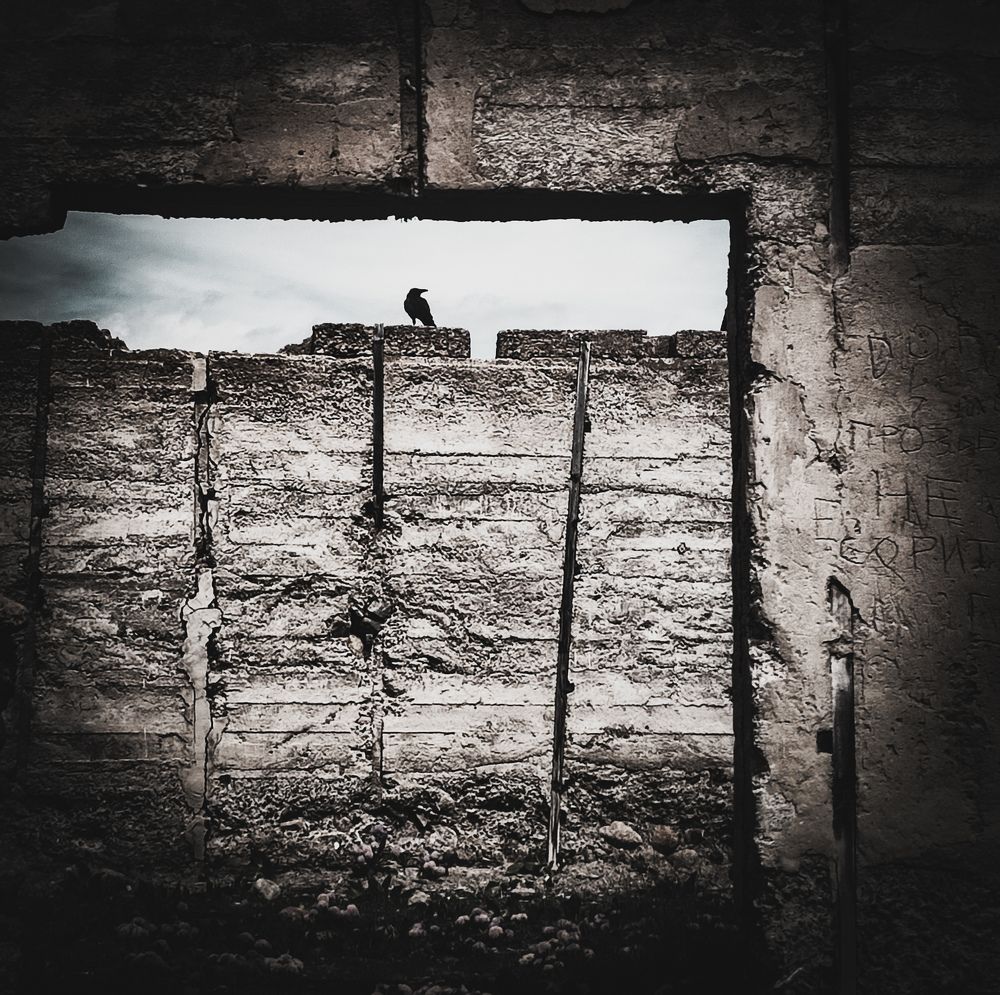 Photograph by Александра Петрова