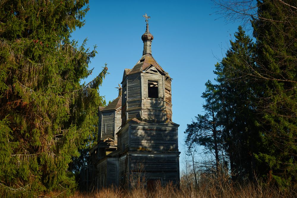 Фотография автора Александр Жданов