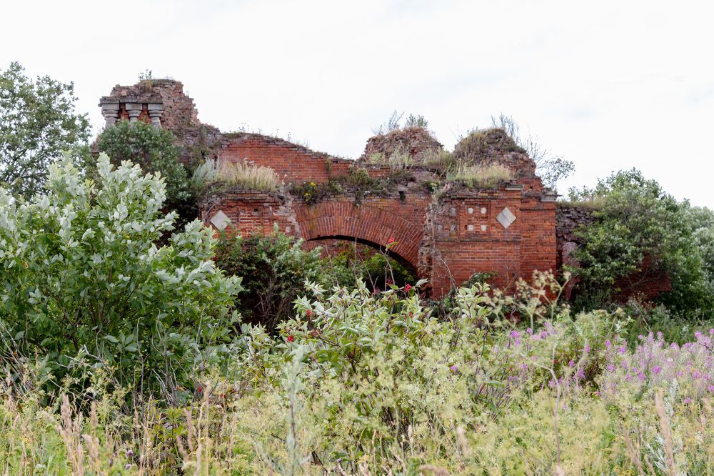 Photograph by Михаил Корнеев