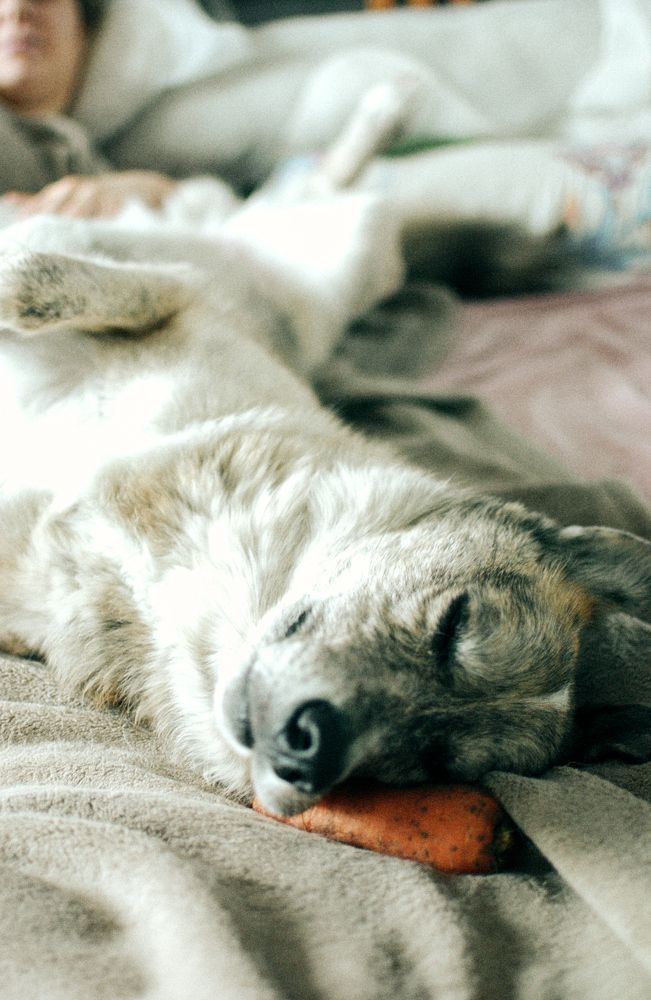 Photograph by Михаил Ногин