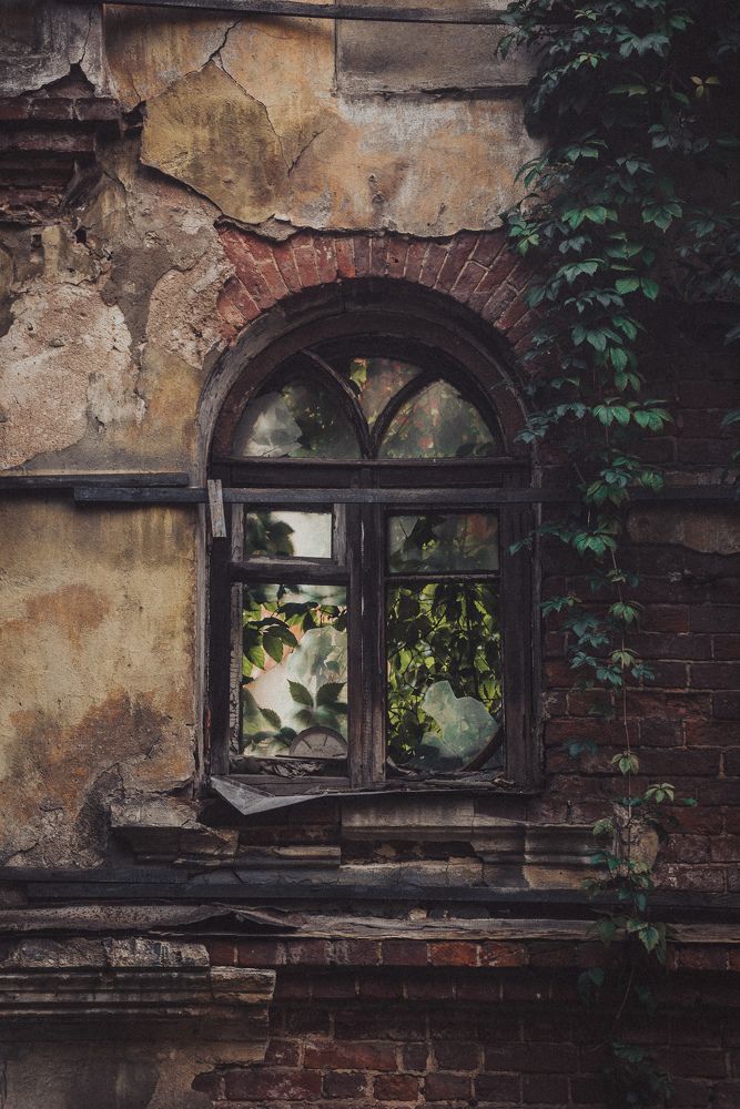 Photograph by Илья Тихановский