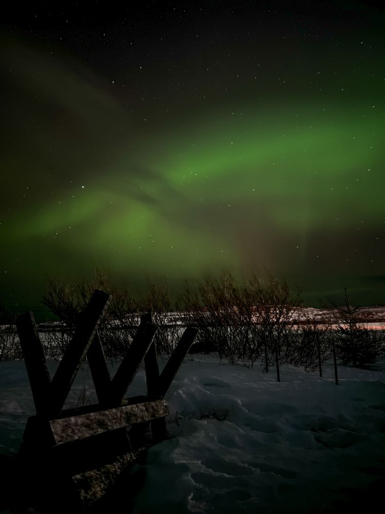 Photograph by Анастасия Юсова