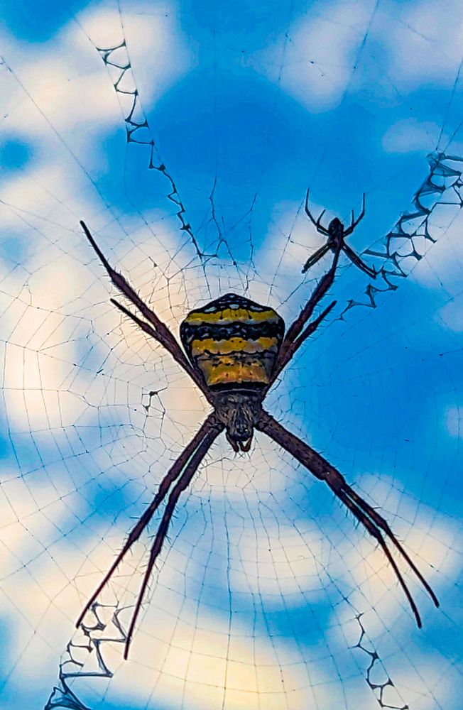 Photograph by SARAVANA MANICKAM