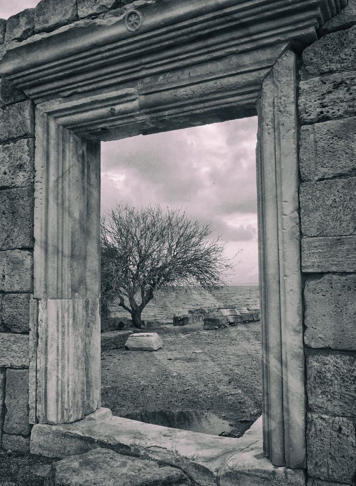 Photograph by Ольга Стоун