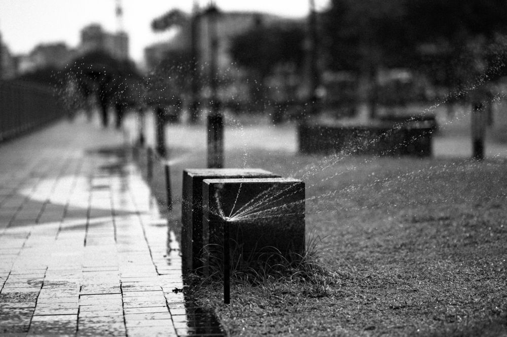 Photograph by Huỳnh Trường