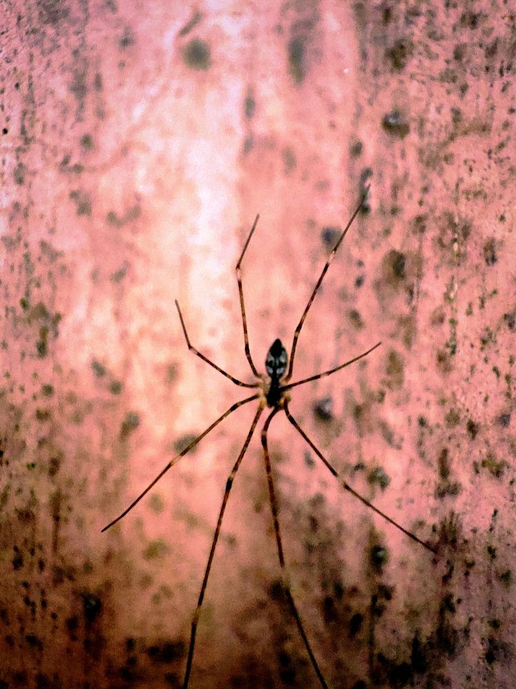 Фотография автора Debdutt Saha