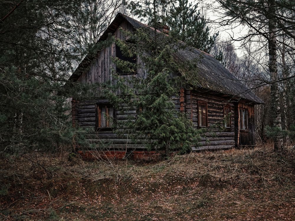 Photograph by Константин Терёхин