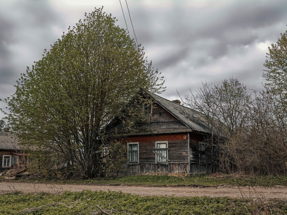 Photograph by Константин Терёхин