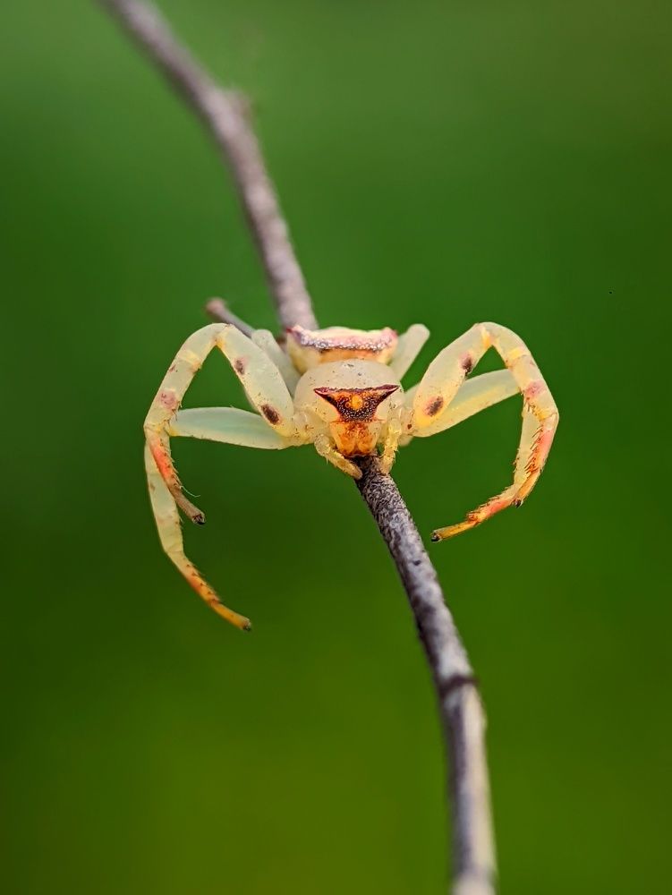 Фотография автора Ramprasad Das