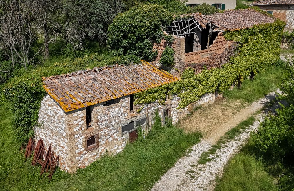 Photograph by Дария Максимова