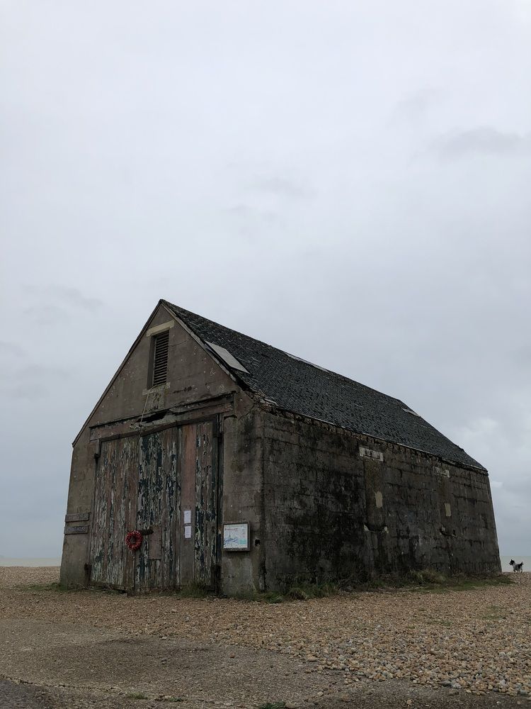 Photograph by Zinaida Sassarini