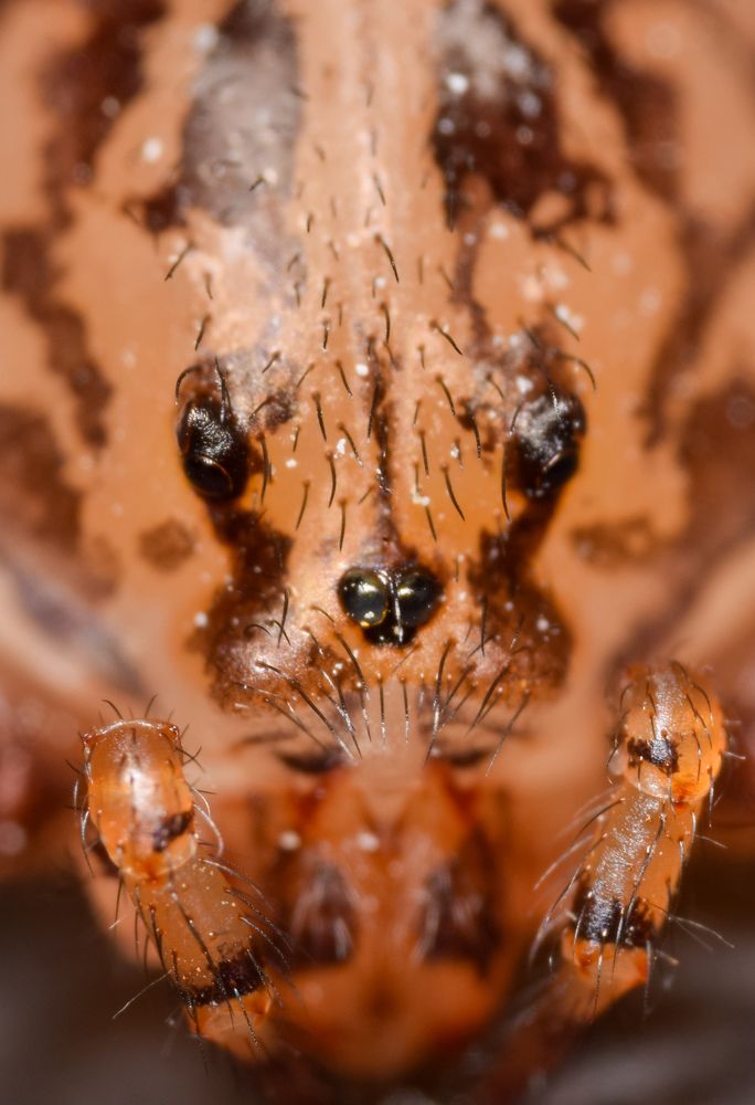 Фотография автора Thomas Engida