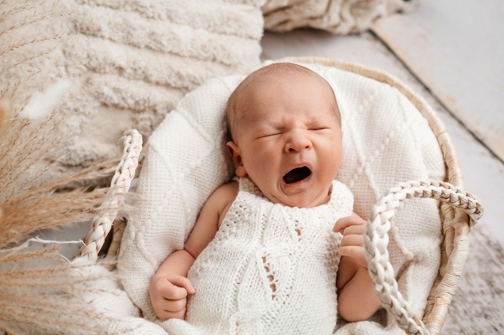 Фотография автора Кристина Левит