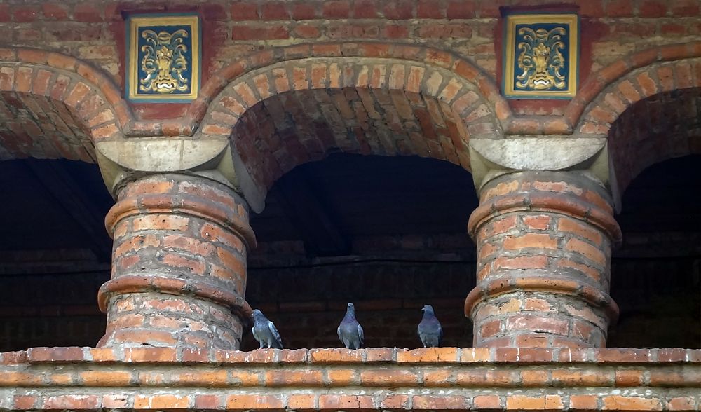 Photograph by IRINA KORNEVA