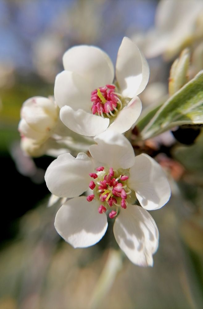 Photograph by Елена Казакова