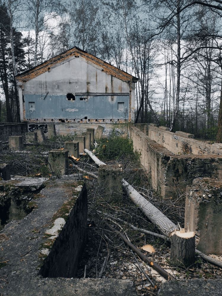 Photograph by Виталий Черепенькин