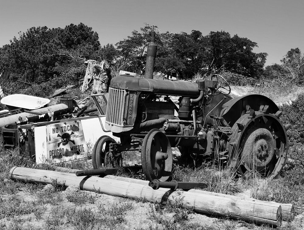 Photograph by Daniel Núñez