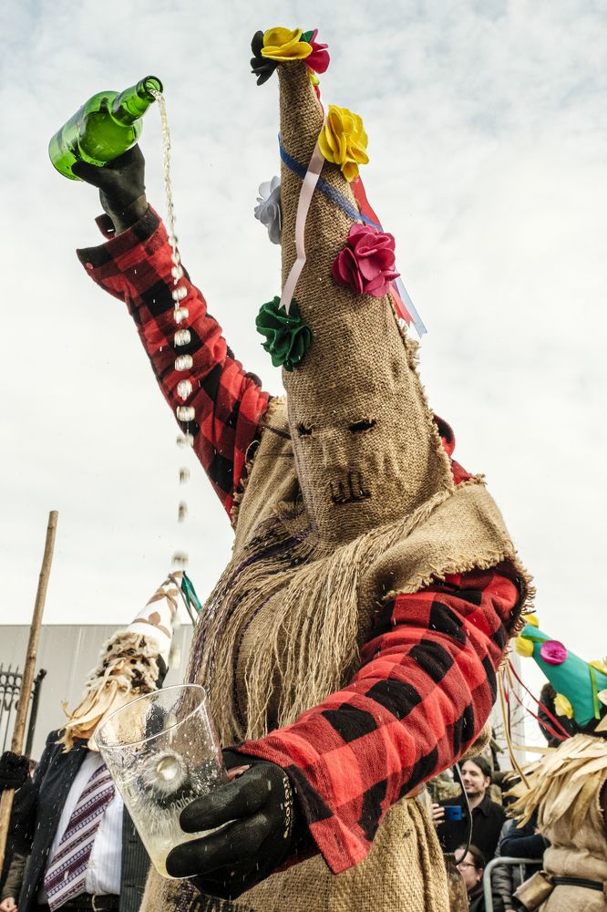Фотография автора Sérgio Bruno Brandão