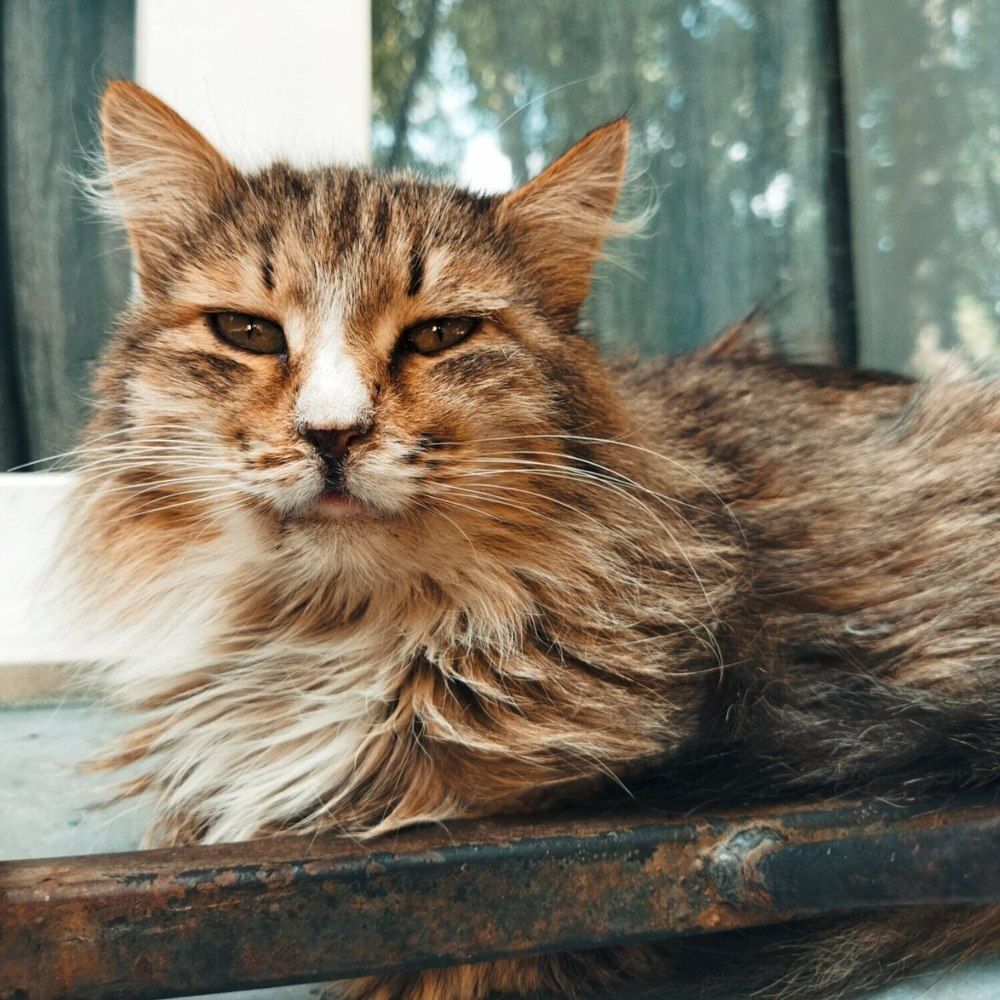 Photograph by Ирина Бухалова