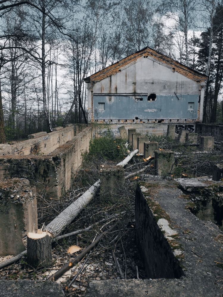 Photograph by Виталий Черепенькин