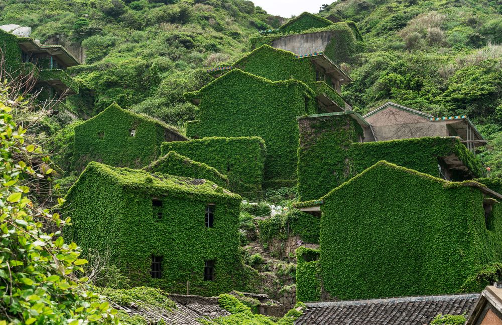 Photograph by Кирина Елизавета