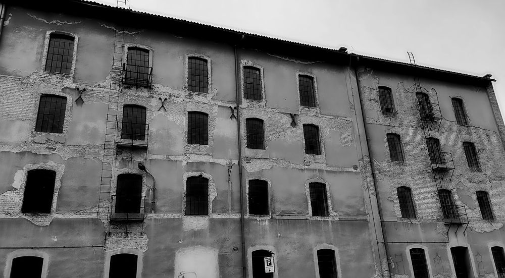 Фотография автора Djurdja Petrisic