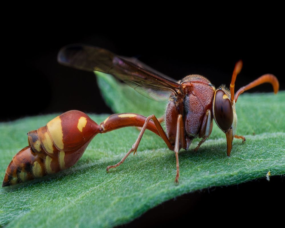 Photograph by Manjunath S