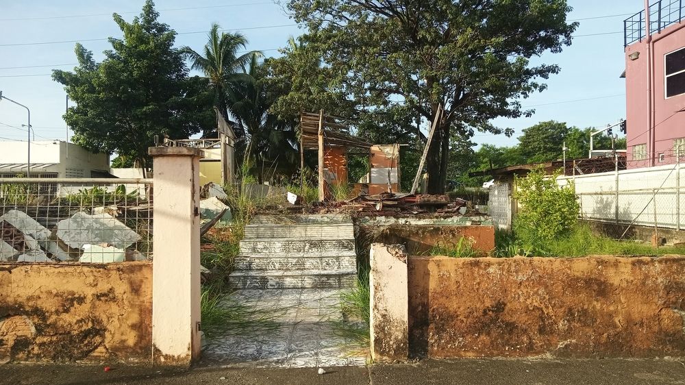 Photograph by Hilary McShine