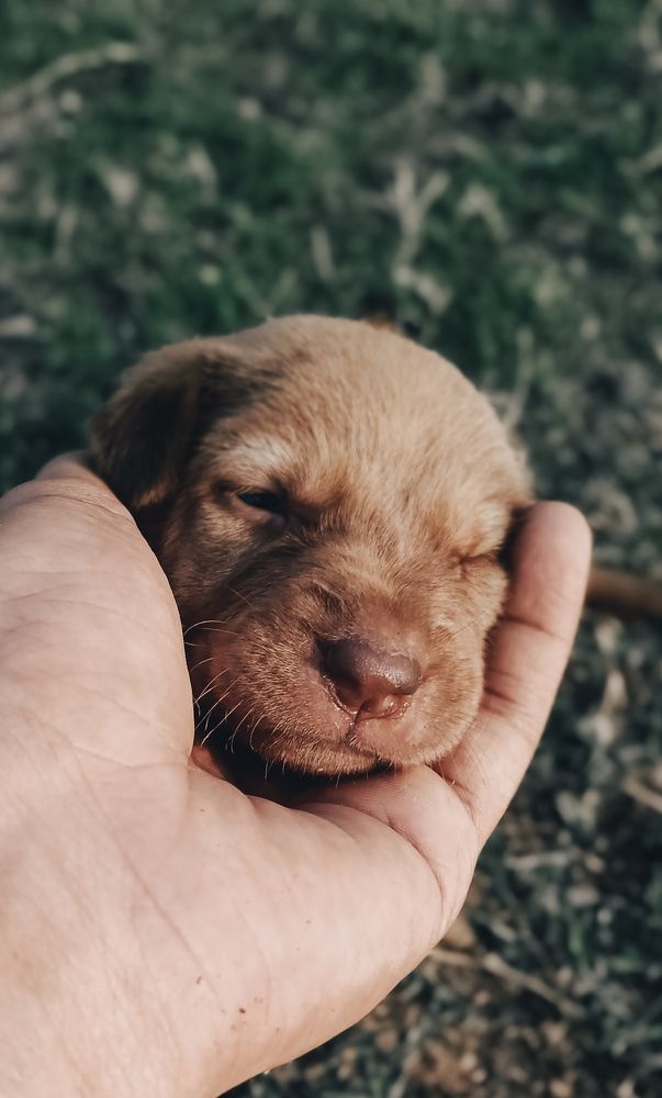 Tiny Life in Gentle Hands