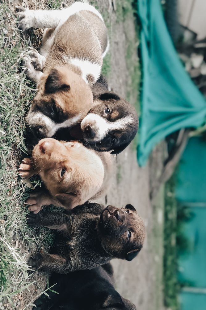 Photograph by DIGEN MORE