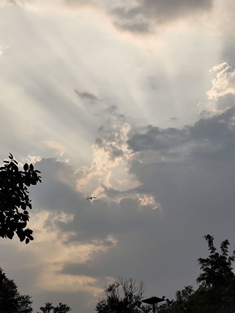Photograph by Radharani Jaiswal