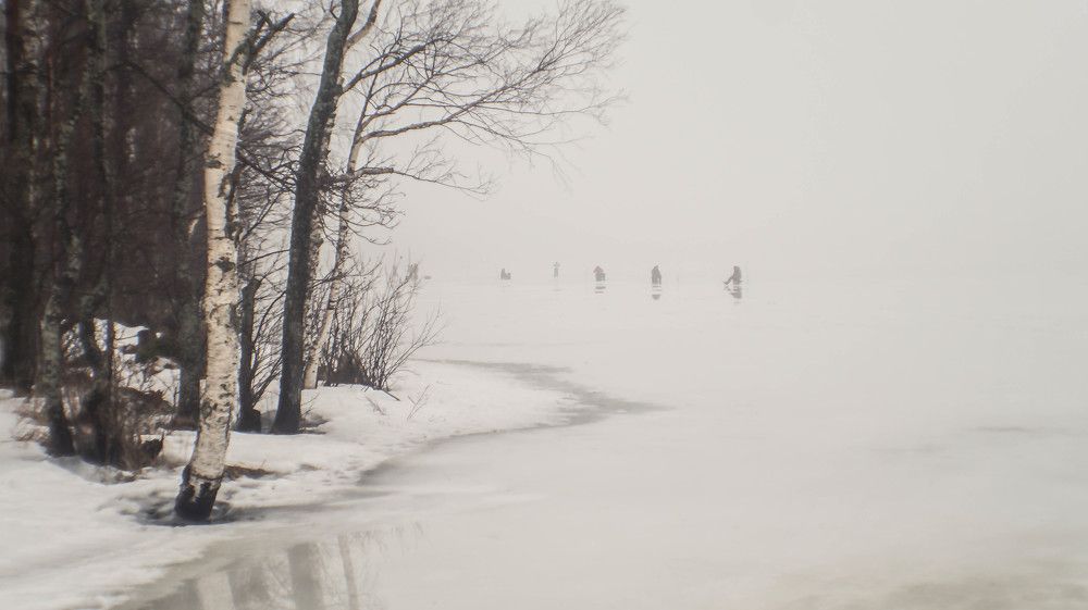 Фотография автора Юрий Цыркунов