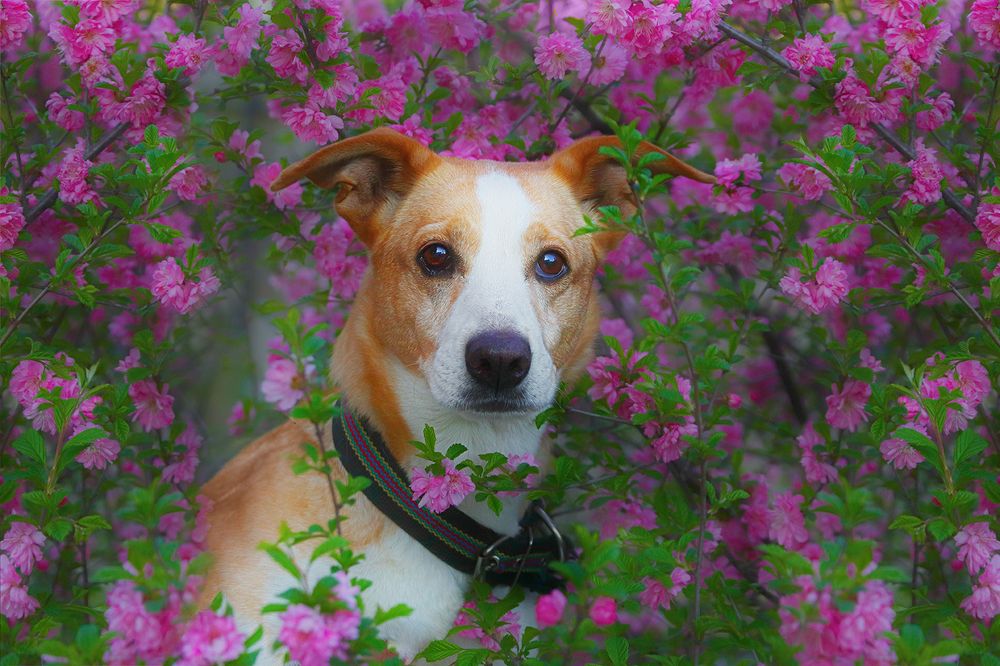 Photograph by Аркадова Елена