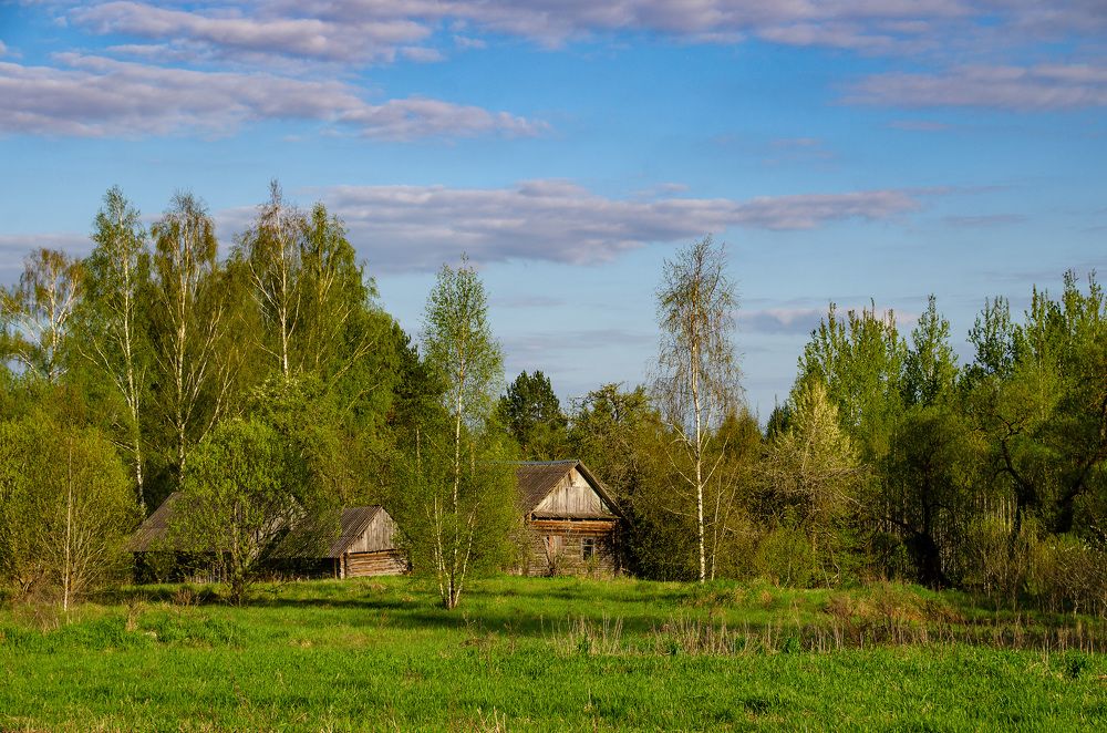 Photograph by Михаил Гурин