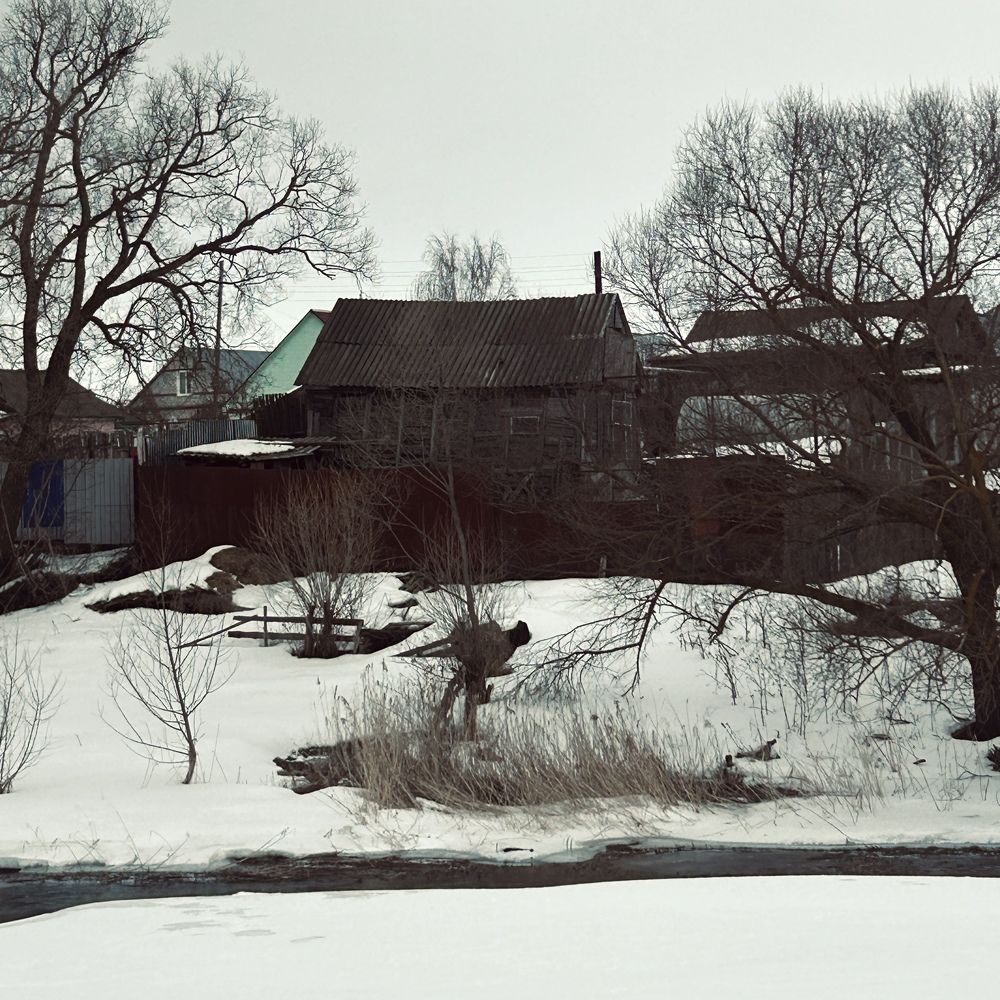 Photograph by Елена Гущина