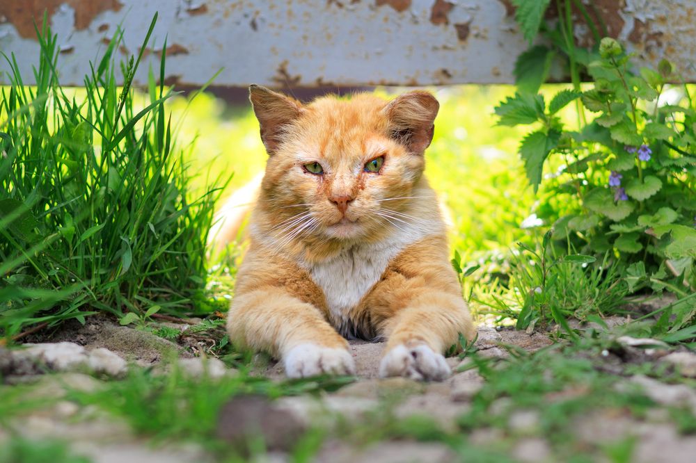 Photograph by Anastasia Sokolskya