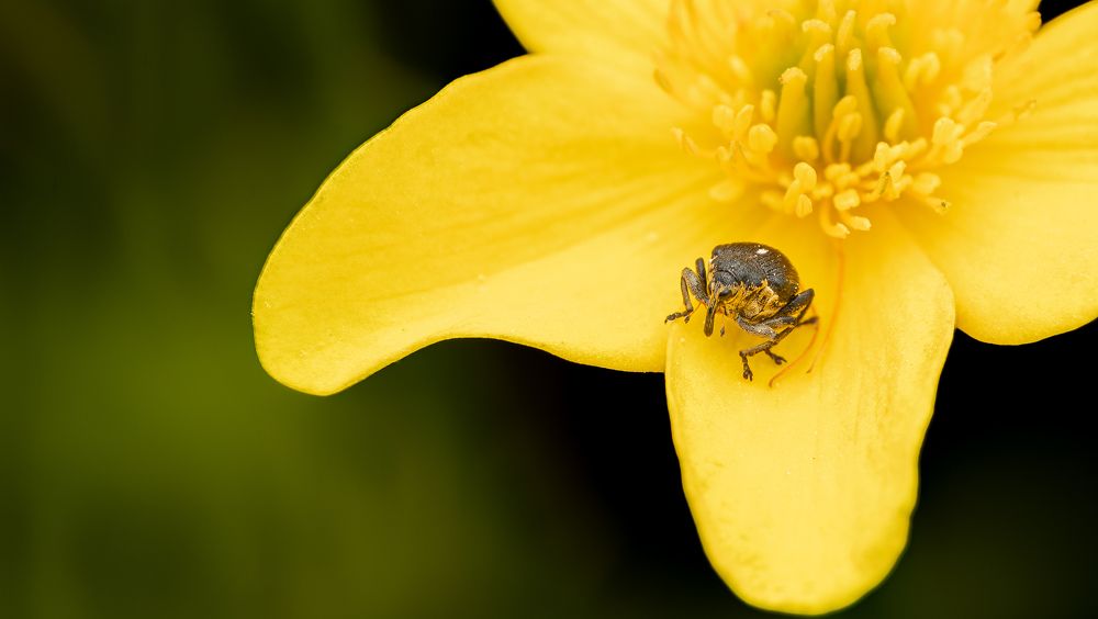 Photograph by Alexander Pakhomov