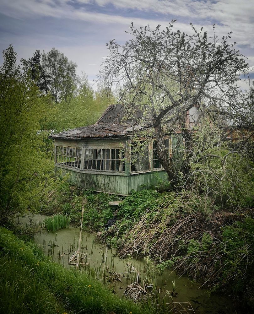 Фотография автора Кривенко Владимир