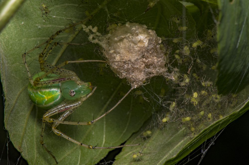 Фотография автора SUDIPTA CHKRABORTY