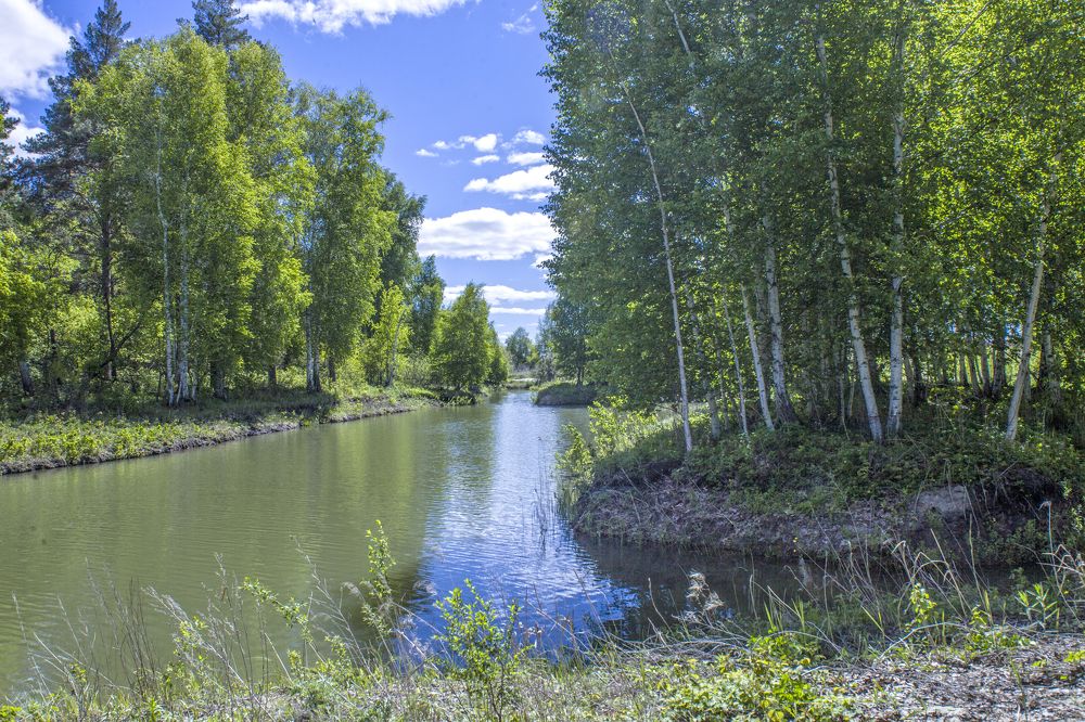 Photograph by Валерий Богачев