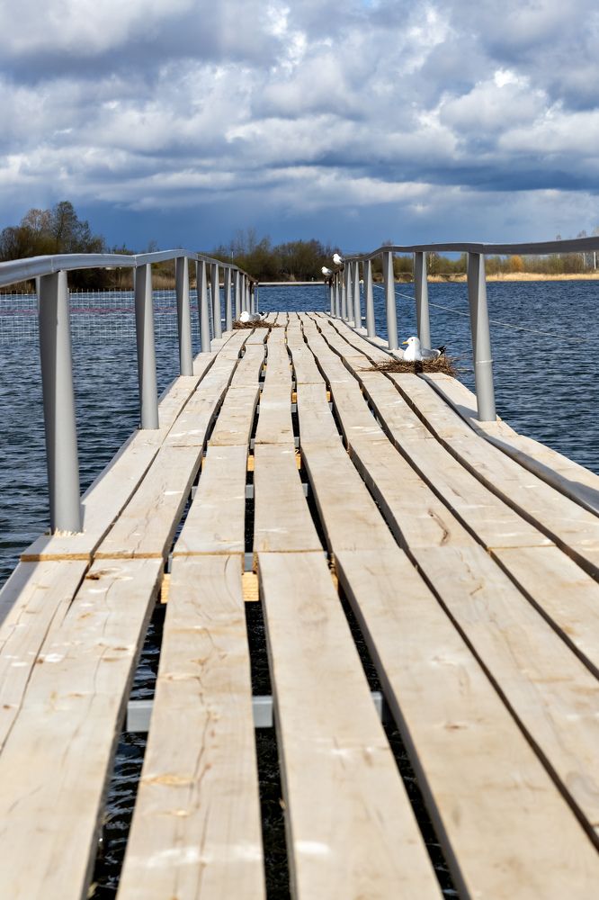 Photograph by Нина Пашина