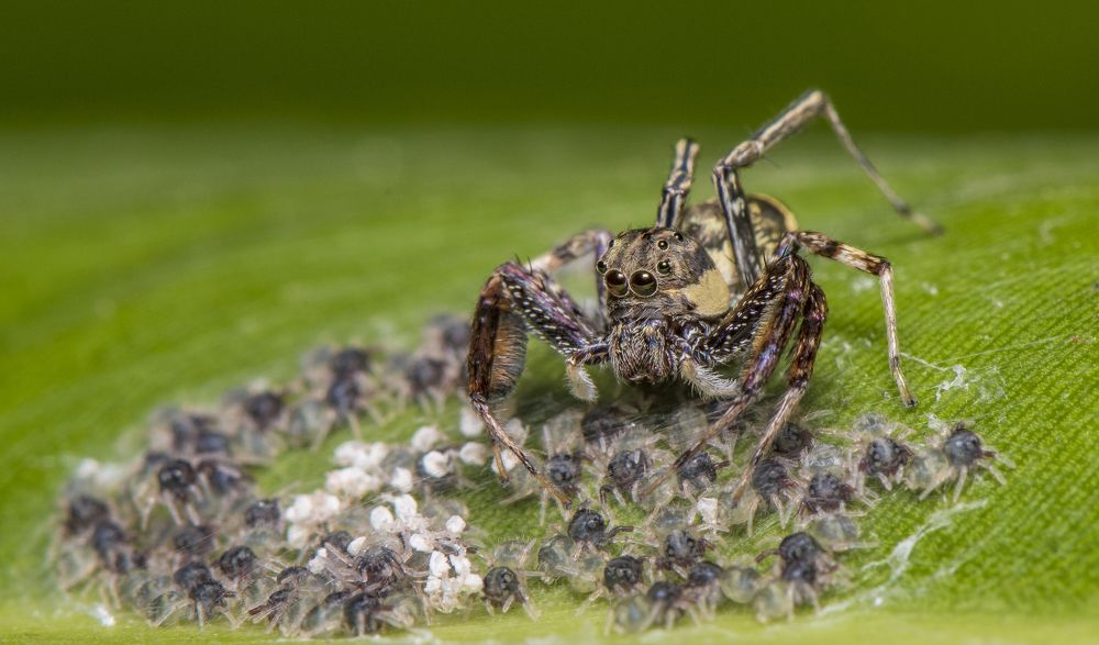 Photograph by SUDIPTA CHKRABORTY