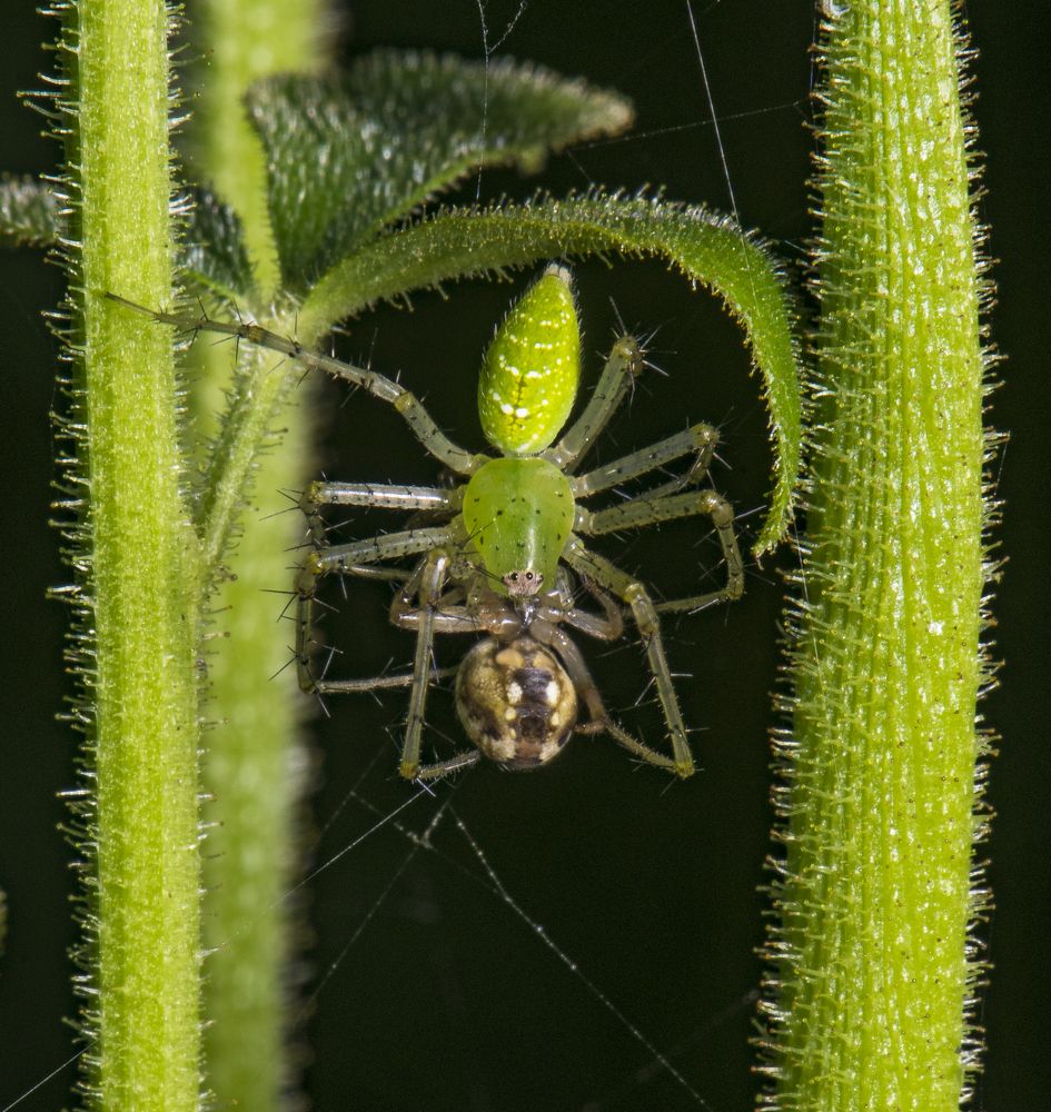 Фотография автора SUDIPTA CHKRABORTY