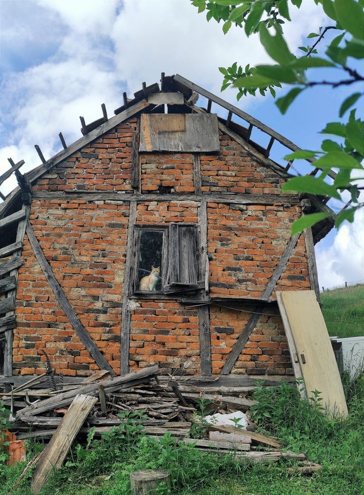 Photograph by Željka Miljić