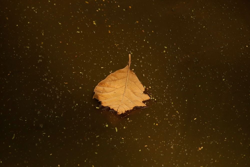 Photograph by Washiful Majid