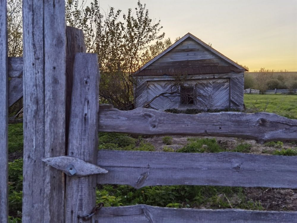 Photograph by Назлыгуль Малашова
